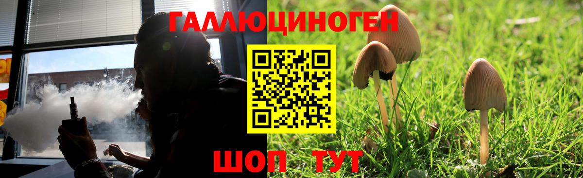 Галлюциногенные грибы Psilocybe Прохладный